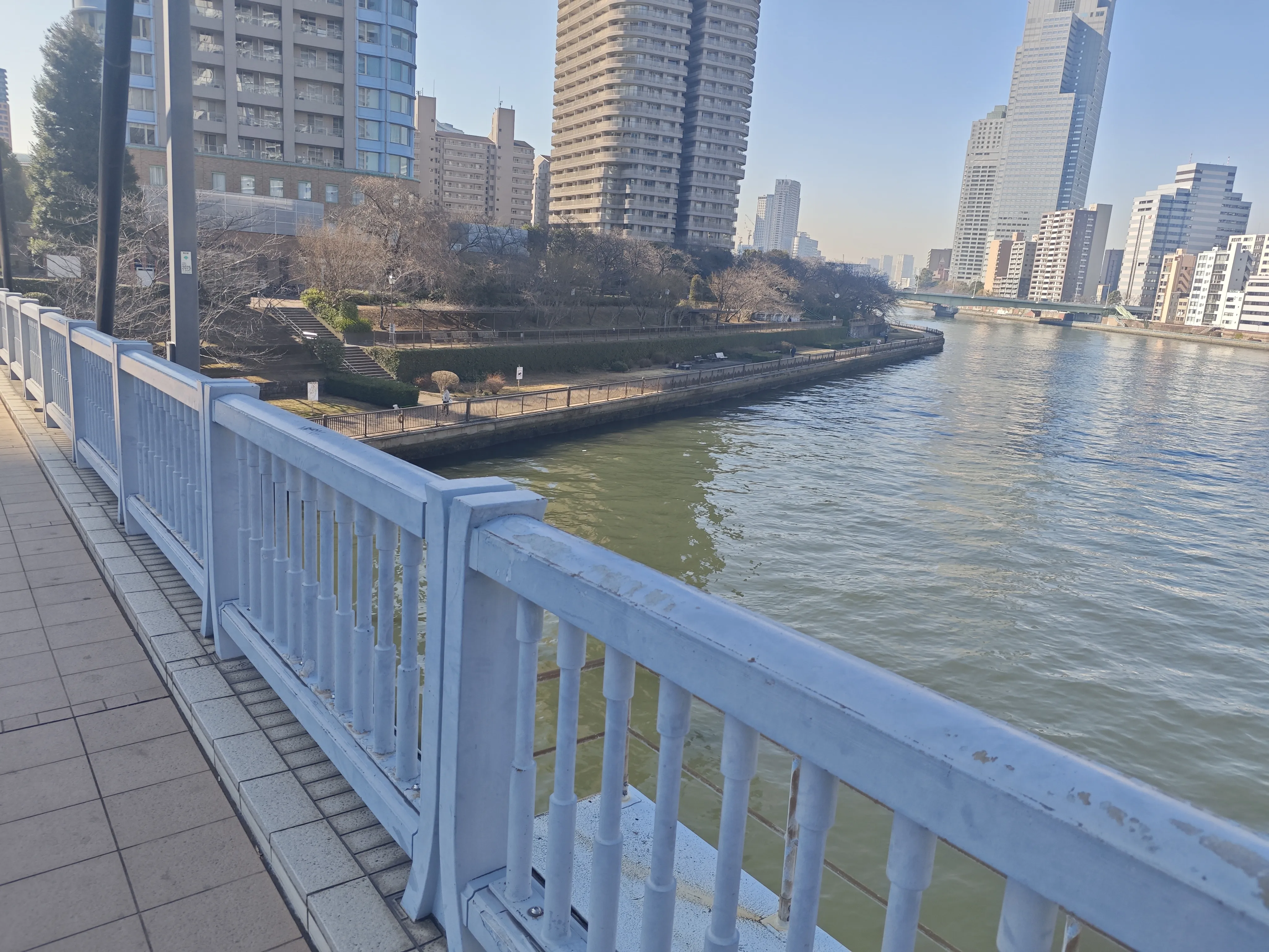 中央大桥(白天)